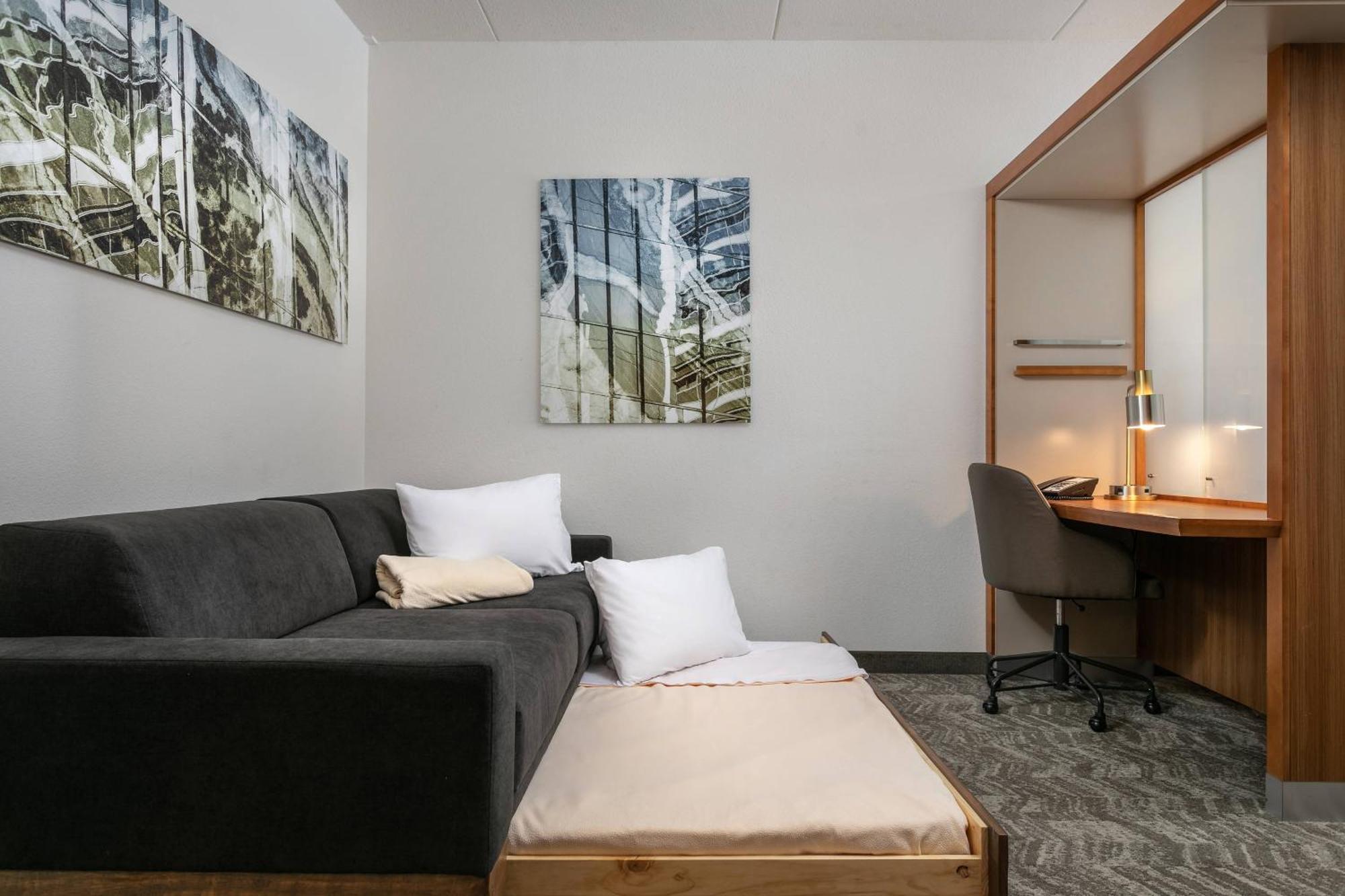 Springhill Suites By Marriott Downtown Chattanooga/Cameron Harbor Exteriör bild